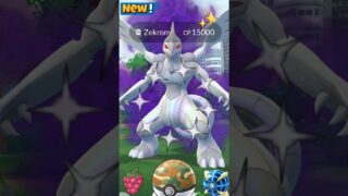 Finally I Got✨️Shadow Zekrom in Pokemon Go