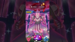 Finally I Got✨️Shiny Palkia Raid in Pokemon Go