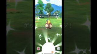 色違いタイレーツだけは絶対にGETしたい◓⃙⁣ #pokemon #ポケモンgo #色違いポケモン