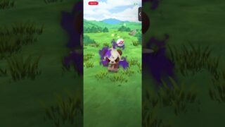 #ポケモンGO シャドウヤンチャム　色違い
