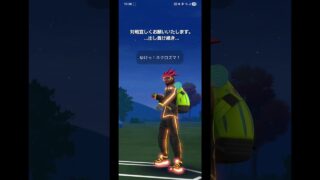 ポケモンGO 【前半戦】メガマスターリーグ ネクロズマ(あかつき)、ホウオウ、メガルカリオ