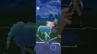 ポケモンGO 【後半戦】メガハイパーリーグ ガラルファイヤー、フラージェス、メガバシャーモ