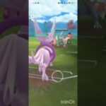 ポケモンGOバトルリーグ　メガマスターリーグ 121