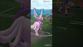 ポケモンGOバトルリーグ　メガマスターリーグ 123