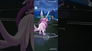 ポケモンGOバトルリーグ　メガマスターリーグ 133