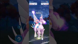 ポケモンGOバトルリーグ　メガマスターリーグ 137