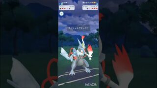 ポケモンGOバトルリーグ　マスターリーグ 2536