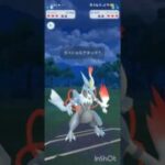 ポケモンGOバトルリーグ　マスターリーグ 2564