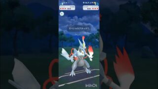 ポケモンGOバトルリーグ　マスターリーグ 2564