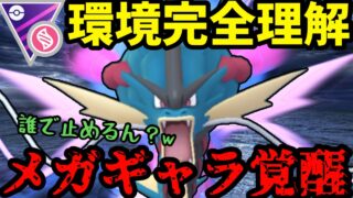 【ポケモンGO】この環境、一周回ってメガギャラ最強じゃねえか!【メガマスター】