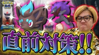 ゾロアコミュデイ直前対策!!!!へんしんはどうなる?限定技の評価は?【ポケモンGO】