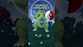 ポケモンGO初心者！もう騙されない！