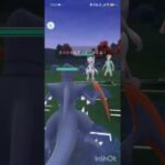 ポケモンGOバトルリーグ　メガマスターリーグ 95