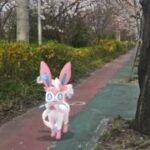 [GO Snapshot Slideshow] 님피아 ( Sylveon ) ニンフィア ( 仙子伊布 )