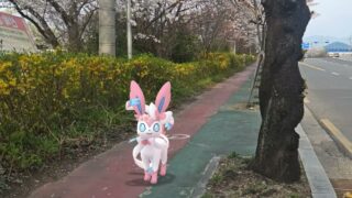 [GO Snapshot Slideshow] 님피아 ( Sylveon ) ニンフィア ( 仙子伊布 )
