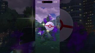 (初心者)ポケモンGO　VSサカキ(ペルシアン/ドサイドン/ゼクロム) 2026/10/05