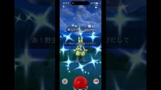 【ポケモンGO】高個体値‼︎ ルカリオ色違い‼︎ adidasコラボ リサーチリワード