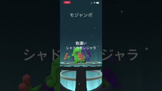 ポケモンGO 色違いシャドウモンジャラ出現！色違いシャドウモジャンボへ進化！ #ポケモン #pokémon #pokemongo #ポケモンgo