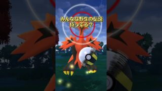 ポケモンGO初心者！2回目の野生の伝説！