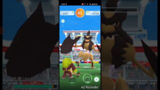 ポケモンGO「ソロレイドでバサギリをGETするまで」（10）