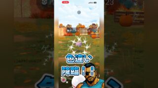 色違い✨しんさくヤバチャを狙う！！【ポケモンGO】#shorts