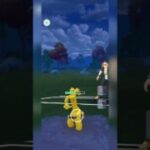 【マスターリーグ】メガギャラドスの裏で強すぎるメタグロス！【ポケモンGO】【バトルリーグ】#shorts #ポケモンgo #goバトルリーグ #gbl #マスターリーグ #pokemongo