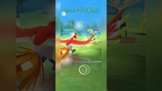 【マスターリーグ】ゼルネアスをホウオウでやきつくす！【ポケモンGO】【バトルリーグ】#shorts #ポケモンgo #goバトルリーグ #gbl #マスターリーグ #pokemongo