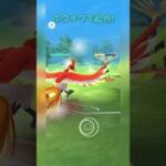 【マスターリーグ】ゼルネアスをホウオウでやきつくす！【ポケモンGO】【バトルリーグ】#shorts #ポケモンgo #goバトルリーグ #gbl #マスターリーグ #pokemongo
