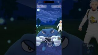 Sアローラガラガラ一貫してるし、強すぎる！！【GOバトルリーグなshort】【ポケモンGO】＃ポケモンGO　＃GOバトルリーグ
