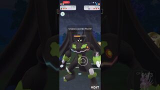 Shadow Ursaluna freezes the cheat code