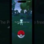 Shiny mew pokemon go #Pokemon #pokemongo #pogo #shinypokemon #mew