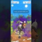 【スーパーリーグ】あくVS正義 #GBL #pokemongo #スーパーリーグ #ポケモンgo #ポケモン #ルカリオ #ヘルガー