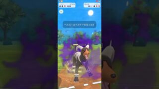 【スーパーリーグ】あくVS正義 #GBL #pokemongo #スーパーリーグ #ポケモンgo #ポケモン #ルカリオ #ヘルガー