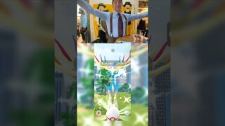 We got a Shiny Xerneas in Pokémon Go! Wilt’s Berries at DeKalb Market, Brooklyn #pokemongo