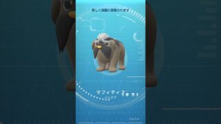【オラチフ/マフィティフ】 #ポケモン #ポケモンgo