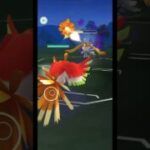 [メガマスター] 刺さりまくり！たつまきギャラドス！！　#ポケモンgo #ポケモンgoバトルリーグ #メガマスターリーグ　#pokemongo