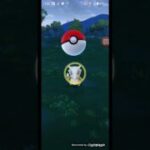 pokemon go