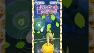 スーパーりーぐ🎼🎶.•*💛🎼🎶.•*💛🎼🎶.•*💛 🎼🎶.•*💛 #pokemongo #gbl