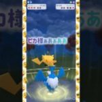 ピカ様ぁあぁああ💛🎼🎶.•*️️️🩵🎼🎶.•*💙🎼🎶.•*️️️🩵 🎼🎶.•*💙💛 #pokemongo #shorts