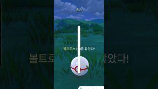 그림자 이로치 볼트로스가 떴다!