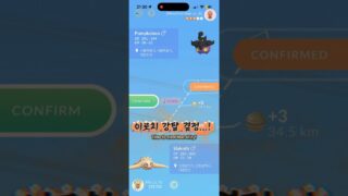 할로윈 호박 개체값은? #포켓몬고