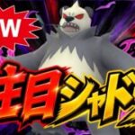 【厳選必須】更なる火力を手に入れた”ゴロンダ”の圧が凄すぎるw